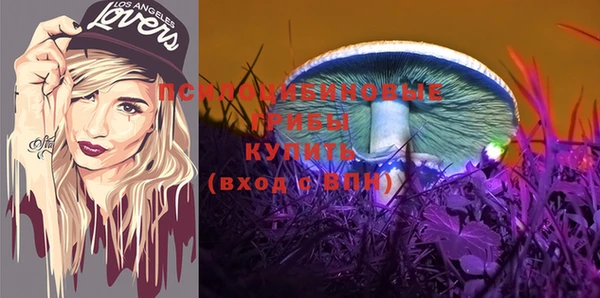 дживик Гусев