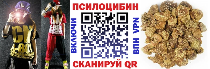 Псилоцибиновые грибы Magic Shrooms  Похвистнево 